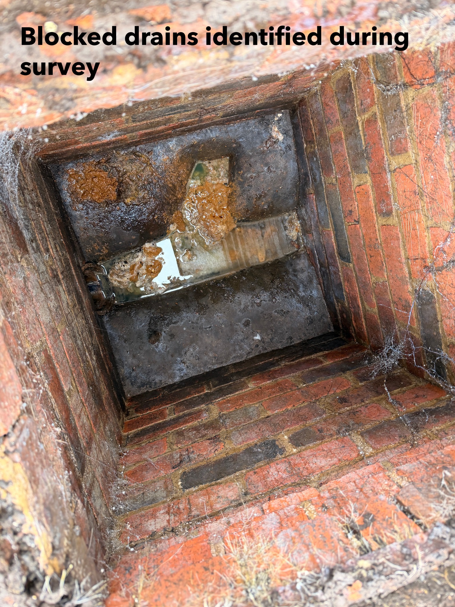 Defective flat roof detail