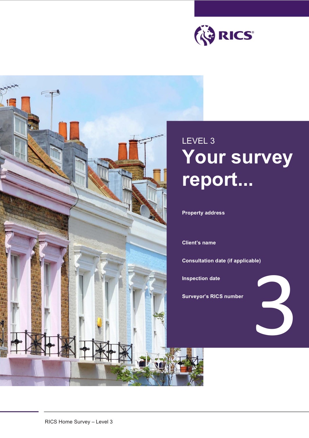 Level 3 survey report