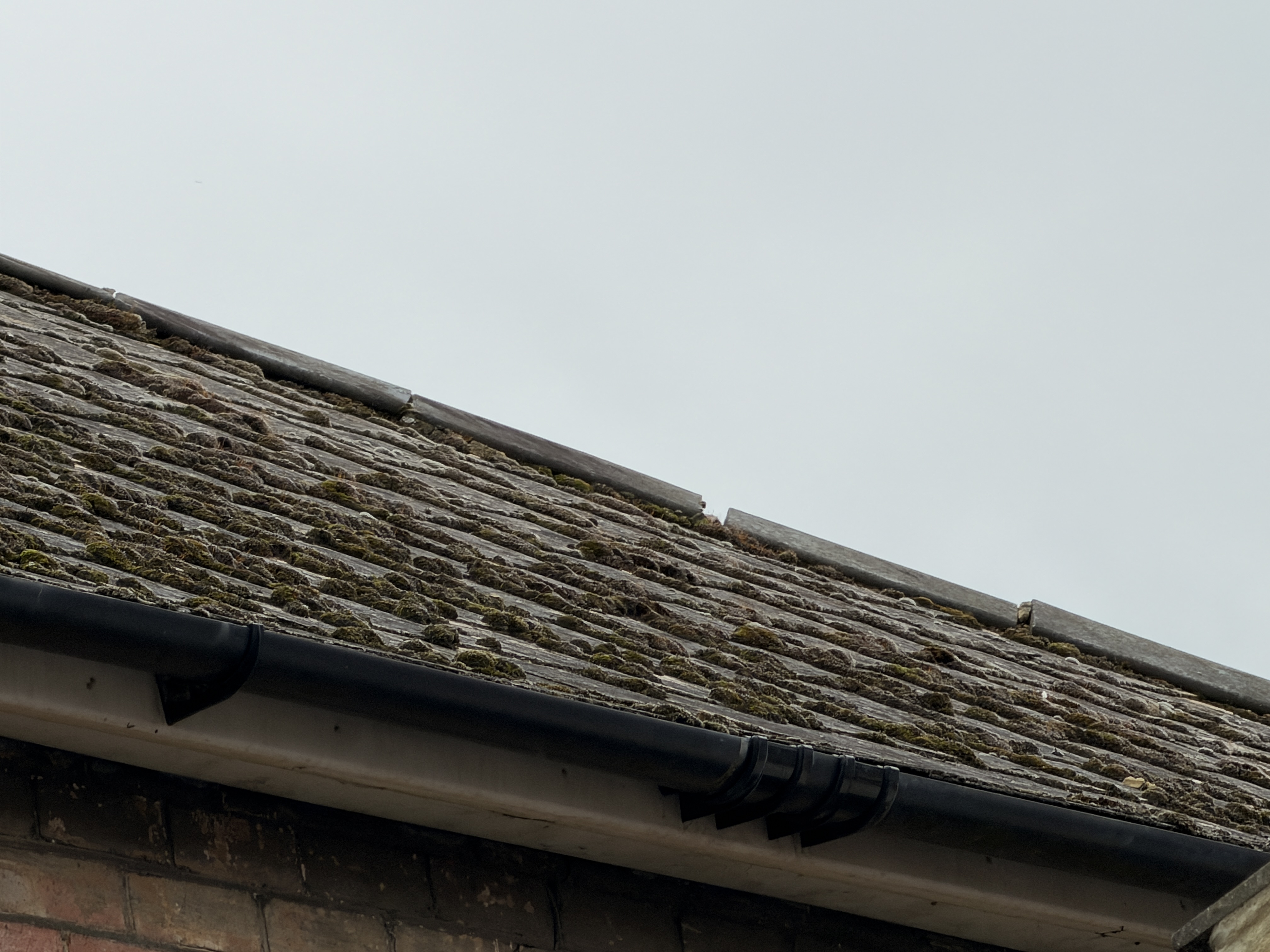 Roof coverings inspected by surveyor