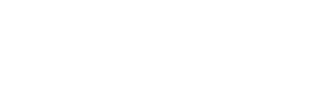 Severn Surveyors, Regulated by RICS
