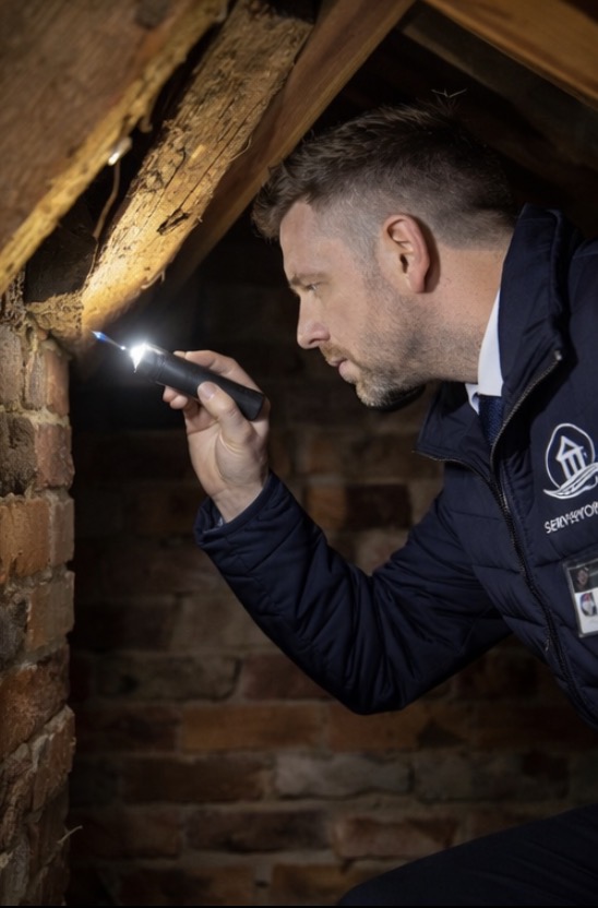Residential surveyor inspecting a roof space